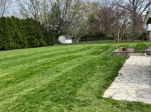 Stephanie and Marty J.'s Lawn Maintenance service result