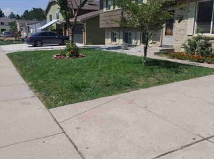 Sarah C.'s Grass Cutting service result