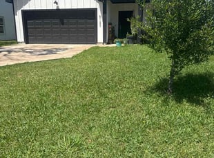 Toni O.'s Lawn Mowing service result