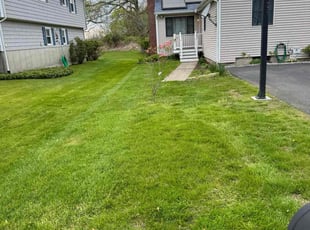 Ethan S.'s Grass Cutting service result