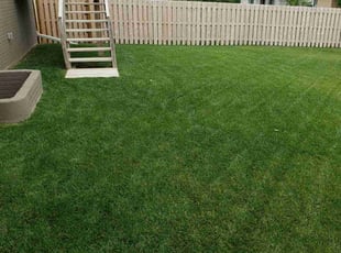 Arianna A.'s Lawn Service service result