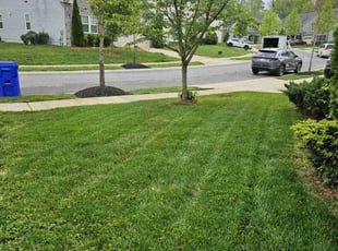 Henry L.'s Lawn Service service result