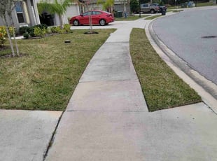 Tiffany M.'s Lawn Service service result