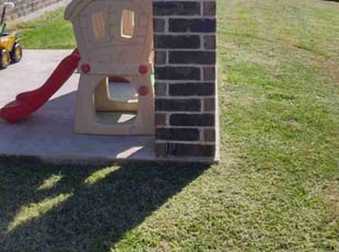 Shandon S.'s Lawn Mowing service result