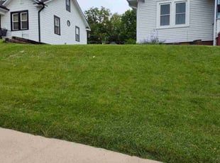 Megan L.'s Lawn Maintenance service result