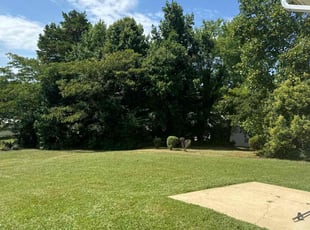 Scott S.'s Lawn Mowing Service service result