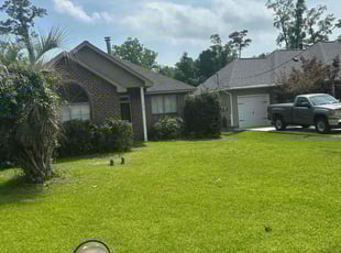 Bush Trimming by Jonathan Jones for Tyler R. in Mandeville, LA