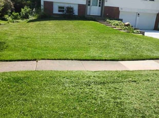Jacob V.'s Grass Cutting service result