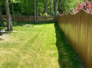 Erica R.'s Lawn Mowing service result