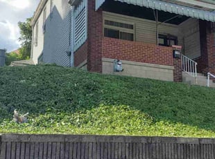 Cleanups by Edward Myers for Justin G. in Pittsburgh, PA