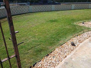 Candice M.'s Lawn Mowing Service service result