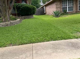 Michele B.'s Yard Cutting service result