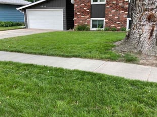 James A.'s Lawn Care service result