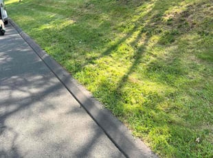 Loretta B.'s Yard Cutting service result