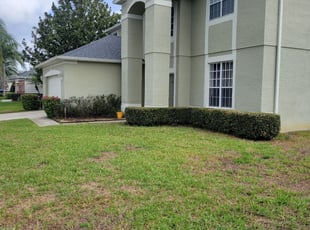 Bush Trimming by Tyler Buschbom for Chernie O. in Orlando, FL