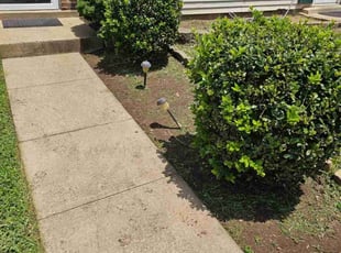 Weeding by Rosemary Valle for Latesha C. in Manassas, VA