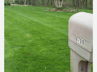 Pat A.'s Lawn Mowing Service service result