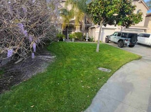 Rebekah R.'s Lawn Service service result