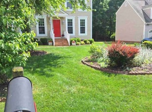 Satyam A.'s Lawn Care service result