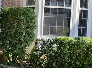 Bush Trimming by Jerry Fleet for Brent A. in Owings Mills, MD