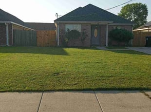 Mystique M.'s Lawn Mowing service result