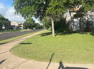 Vanessa C.'s Lawn Care service result