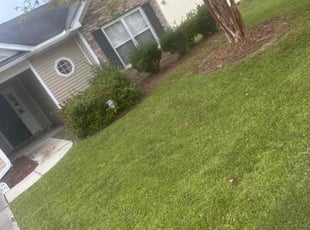 Kim H.'s Lawn Mowing Service service result