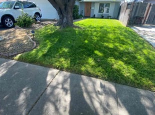 Ron M.'s Lawn Service service result