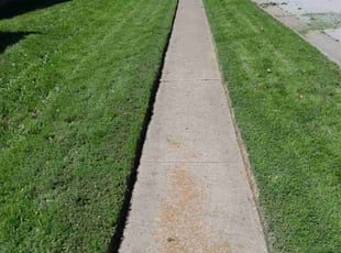 Matt G.'s Lawn Maintenance service result