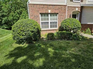 Bush Trimming by Jeremiah Davis for Daryl T. in Charlotte, NC