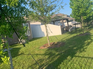Latashia W.'s Lawn Mowing service result
