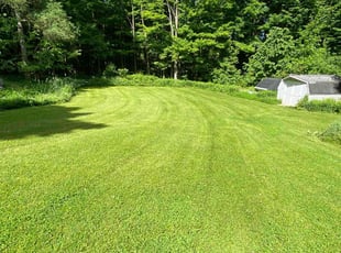 Andrea S.'s Lawn Mowing service result