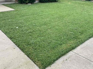 Harry H.'s Yard Cutting service result