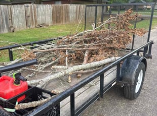 Cleanups by Tyron Killingsworth for Gilbert R. in Whitehouse, TX