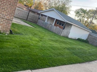 Roxana V.'s Yard Cutting service result