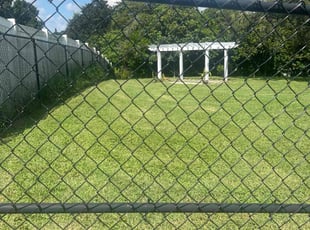 Patricia C.'s Grass Cutting service result