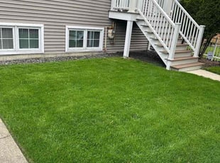 Zack H.'s Lawn Mowing service result