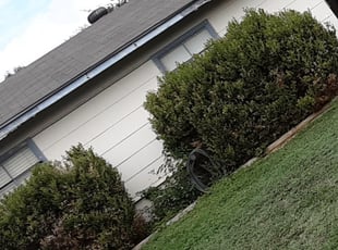 Cleanups by Shandon Shipman for William B. in San Antonio, TX