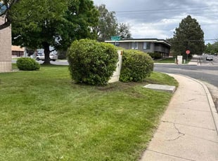 Bush Trimming by John Christensen for Josua B. in Colorado Springs, CO