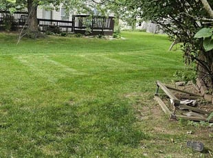 Amy P.'s Lawn Mowing service result