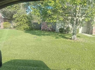 Tracy L.'s Lawn Care service result