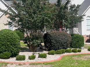 Bush Trimming by Jaczuile Pegues for Alexus H. in Elgin, SC