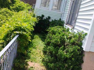 Bush Trimming by Isaiah Roberts for Nick D. in Weehawken Township, NJ