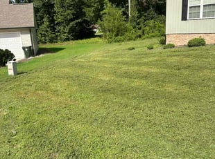Liza S.'s Grass Cutting service result