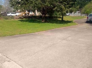 Yvette W.'s Lawn Care service result
