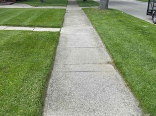 Ravisher S.'s Lawn Mowing service result