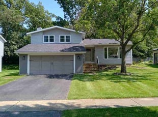 Steve A.'s Lawn Service service result