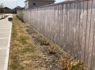 Bush Trimming by Moises Perez for Nina R. in Baytown, TX