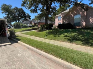Pamela F.'s Grass Cutting service result