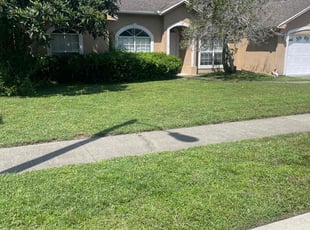 Mary Anne M.'s Lawn Mowing service result